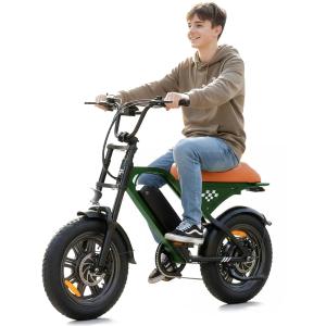 【並行輸入品】 AYOLNY Electric Bike for Adults Teens, 1500/1000W Peak Motor Ret