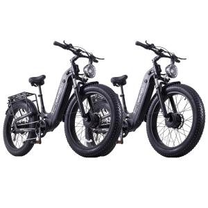 【並行輸入品】 2PCS 5000W Peak Dual Motor Electric Bike for Adults Up to 100 Mi