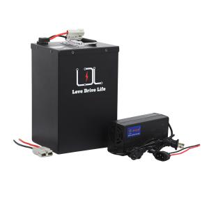 【並行輸入品】60V 35Ah LiFePO4 B バッテリー、4A Fast Ch arger 50A BMS、0 3000W (60V 35