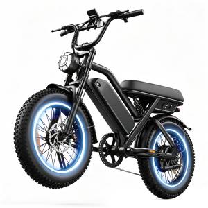 【並行輸入品】 DUDTN Black Tech Electric Bike 750W, 48V 15.6Ah Ebike with 54Nm