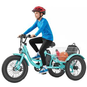 【並行輸入品】 MOONCOOL 16 Inch Electric Tricycle, Youth Electric Trike, 250W 3