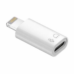iPhone対応 OTG USB-C Type-C 変換アダプタ データ転送 小型 HDD ハードディスク