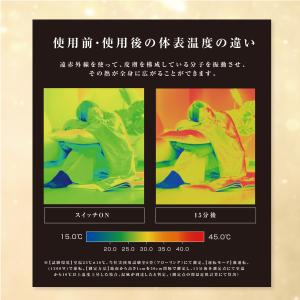 ヒーター セラミックヒーター 暖房ヒーター 年...の詳細画像4