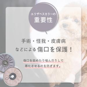 エリザベスカラー 犬 犬用 猫 ソフト 布 ド...の詳細画像1
