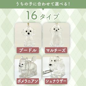 犬 猫 毛 キーホルダー 犬の毛を入れるキーホ...の詳細画像2
