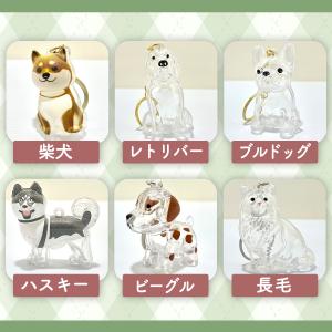 犬 猫 毛 キーホルダー 犬の毛を入れるキーホ...の詳細画像3