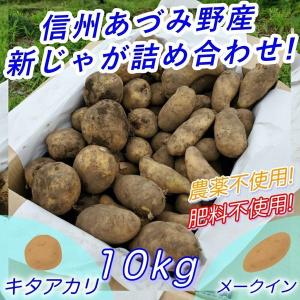 じゃがいも 送料無料 10kg キタアカリ メークイン 農薬不使用 長野県 安曇野産 訳あり 百姓百笑｜besttresureshop