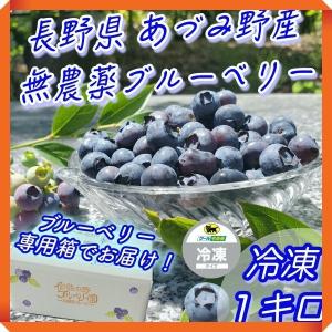 ブルーベリー 冷凍 1kg（500g×2パック） 農薬不使用 国産