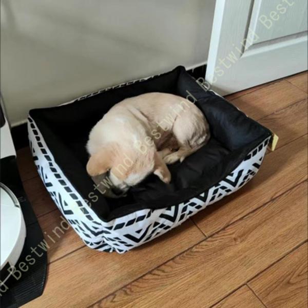 安心感の箱型ペット用ベッド ラウンジベッド ドッグライフ ライトブルー Ｍサイズ 犬 ペットベッド ...