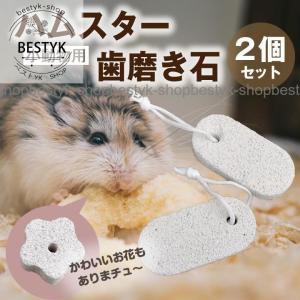 ハムスター用 歯磨き石2個セット 小動物 ミネラル補給 ストレス解消 花 楕円 デザイン 軽石 オーバル フラワー デンタルケア コンパクト 紐付き 2種類