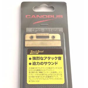CPSS-BB14DR / CANOPUS（カノウプス）/ スナッピー｜beta-music