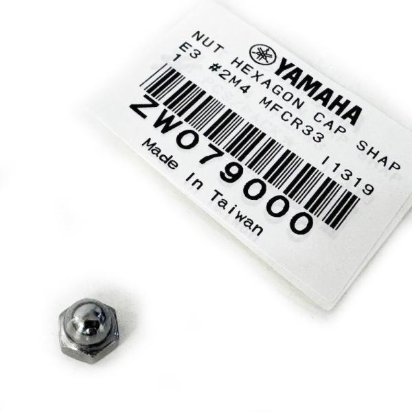 ZW079000 / ロッカクフクロナット SHAPE3 #2M4 MFCR33 / FP9D / ...