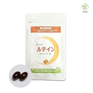 【訳あり】 アウトレット 賞味期限2024年4月 ルテインサプリメント ルテイン+ブルーベリー葉 60粒 30日分 機能性表示食品 メール便