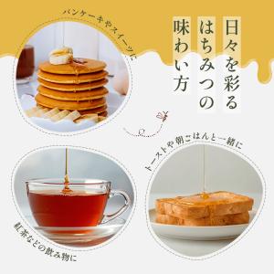 はちみつ 日本蜜蜂の蜂蜜 たれみつ (550g...の詳細画像3