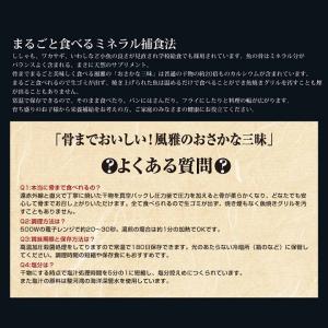 干物セット お試し 風雅のおさかな三昧 3枚入...の詳細画像5