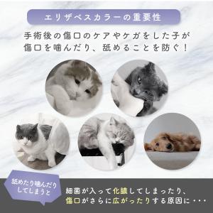 エリザベスカラー 猫 犬 ソフト 術後服 カラ...の詳細画像2