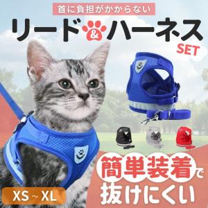 猫 ハーネス ねこ 猫用 リード ウェアハーネス 胴輪 ペット キャット 散歩 首輪 光る