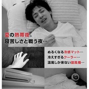 「限定クーポン10%OFF」水冷マット 冷却グ...の詳細画像2