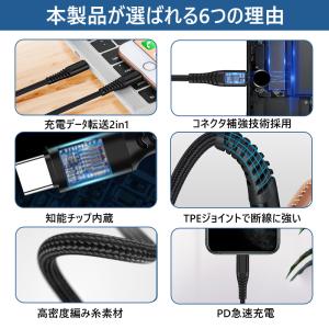 Lightning USB-C 20W PD ...の詳細画像1