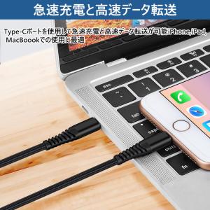 Lightning USB-C 20W PD ...の詳細画像3