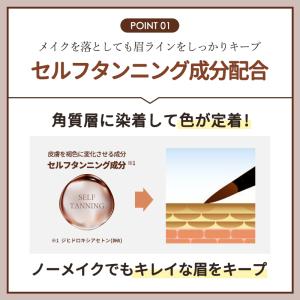 眉ティント テクニコ ラッシュグランディール ...の詳細画像3