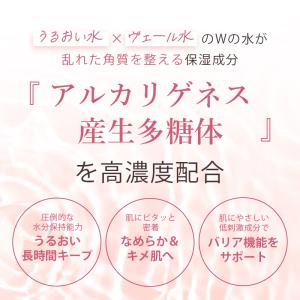 TAEKO リッチローション 美容化粧水 12...の詳細画像3