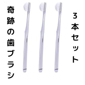 奇跡の歯ブラシ 3本セット 隙間 ピラミッド ハブラシ お試し 子供 大人 替え 使い捨て 磨きやすい 歯並び 個別