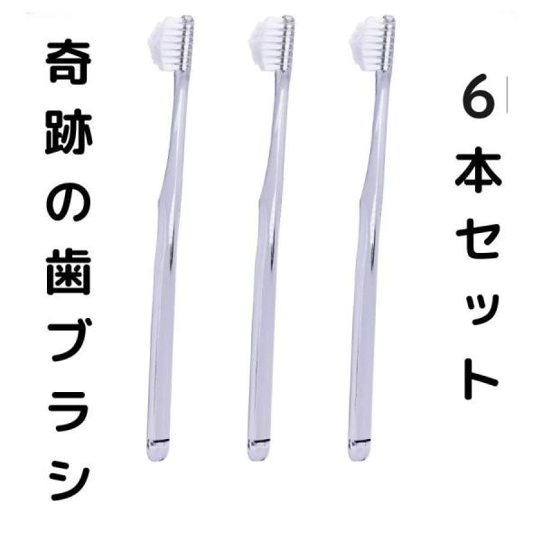 奇跡の歯ブラシ 6本 セット キセキ はぶらし ピラミッド 子供 大人 クリアブラック