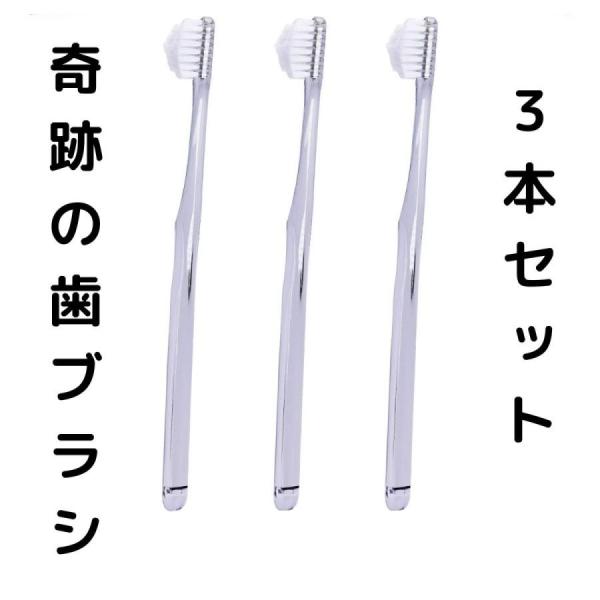 奇跡の歯ブラシ 3本セット 隙間 ピラミッド ハブラシ お試し 子供 大人 替え 使い捨て 磨きやす...