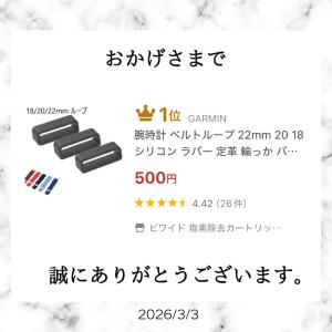 時計 ベルトループ 22mm 20 18 シリ...の詳細画像4