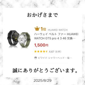 ハーウェイ GT4 ベルト HUAWEI WA...の詳細画像1