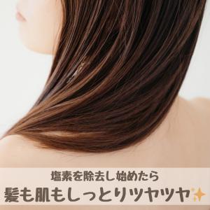 塩素除去 シャワーヘッド カートリッジ カルキ...の詳細画像2