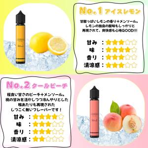 電子タバコ リキッド ICEBERG 30ml...の詳細画像4