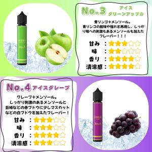 電子タバコ リキッド ICEBERG 30ml...の詳細画像5