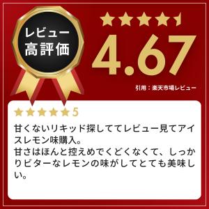 電子タバコ リキッド ICEBERG 30ml...の詳細画像1