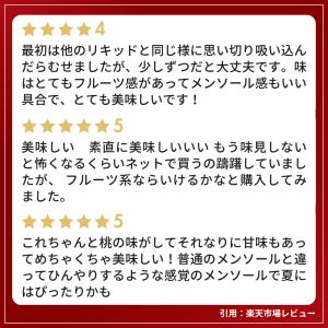電子タバコ リキッド ICEBERG 30ml...の詳細画像2