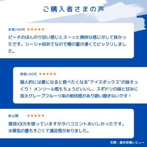 持ち運びシーシャ ICEBERG mini 使...の詳細画像3