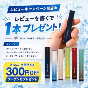 持ち運びシーシャ ICEBERG mini 使...の詳細画像1