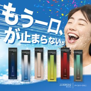 持ち運びシーシャ ICEBERG mini 使...の詳細画像1