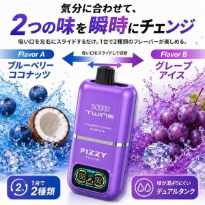 Fizzy Twins 50000パフ 電子タ...の詳細画像2