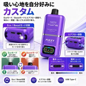 Fizzy Twins 50000パフ 電子タ...の詳細画像5