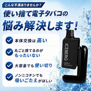 電子タバコ 全額返金保証付き ICEBERG ...の詳細画像2