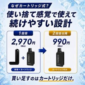電子タバコ 全額返金保証付き ICEBERG ...の詳細画像3