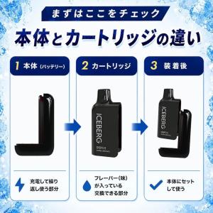 電子タバコ 全額返金保証付き ICEBERG ...の詳細画像4
