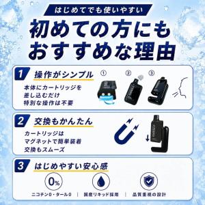 電子タバコ 全額返金保証付き ICEBERG ...の詳細画像5
