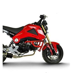 スタントケージ グロム(JC61前期.後期/JC75) エンジンガード GROM