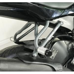 カワサキ Kawasaki Ninja ZX-6R ABS('13-) エンジンガード 99994