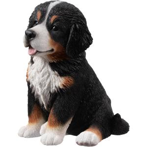 アウトレット バーニーズマウンテンドッグ 子犬...の詳細画像1