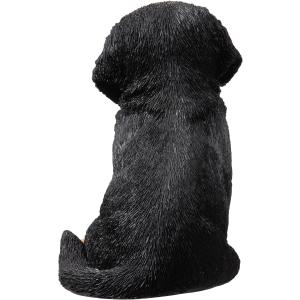 アウトレット バーニーズマウンテンドッグ 子犬...の詳細画像3