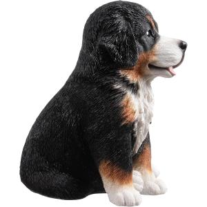アウトレット バーニーズマウンテンドッグ 子犬...の詳細画像4